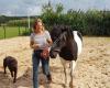 Abel  kindercoaching met behulp van paarden.