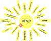 ADHD Spectrum Event
