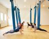 Aerial Yoga Nederland