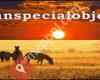 African Art Johnspecialobjects