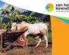 Agricultural Production Chain Management-VHL University of Applied Sciences