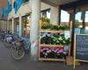Albert Heijn