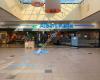 Albert Heijn