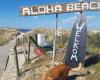 Aloha Beach