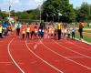 Atletiekvereniging Altis