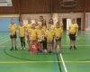 Badminton Club Workum