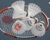Badmintonclub Streefkerk