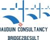 Bauduin Consultancy