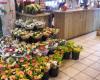 Beautiful Flower Shop