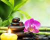 Beauty & Wellness Massage Purmerend