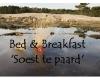 Bed & Breakfast Soest te Paard