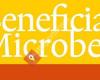 Beneficial Microbes - scientific journal