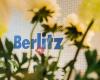 Berlitz Nederland - School of Languages