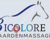 Bicolore Paardenmassage