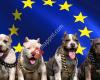 Big Dog Chains / Europe