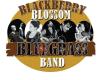 Blackberry Blossom Bluegrass Band