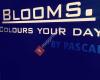 Blooms Hoorn