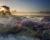 BNB Brabant