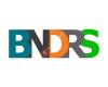 BNDRS Coaching & Detachering
