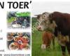 Boer on toer