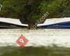 Bomert Watersport