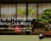 Bonsai Club Noord