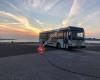 Borrelpartybus