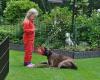 Boxerkennel van 't Reggehome