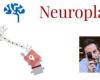 Brain and Neuroplasticity