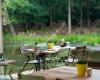 Brasserie Ome Jan