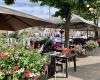 Brasserie 't Vingerling