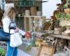 Brocantemarkt Zutphen