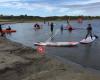 Bruinisse Fun Beach