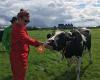 Burmania Boerderij