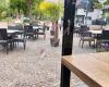 Cafe De Brink