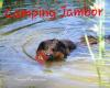 Camping Jambor