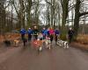 Canicross Gelderland