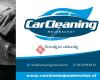 Car Cleaning Molenschot