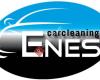 Carcleaning Enes