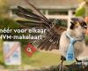 CHEIZOO makelaardij / taxatie