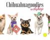 Chihuahuagoodies