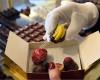 Chocolaterie Alberdeco Gendt