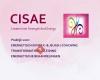 CISAE praktijk voor transformatiebegeleiding