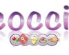 Coccie