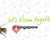 Coolbloom.Singapore