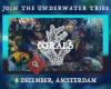 Corals: The Underwater Tribe