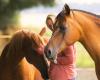 Counseling anders met paard en pony