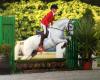 CSI Stables Stoeterij en Zorgboerderij
