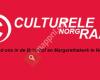 Culturele Raad Norg