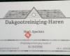 Dakgootreiniging-haren